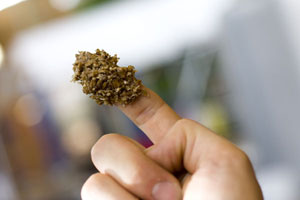 Finger mit Treber: Das Zeug klebt